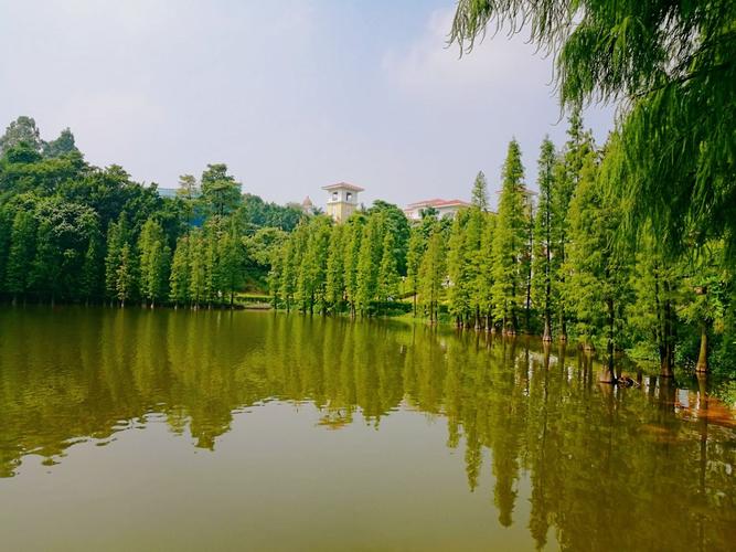 三水区旅游季节特色