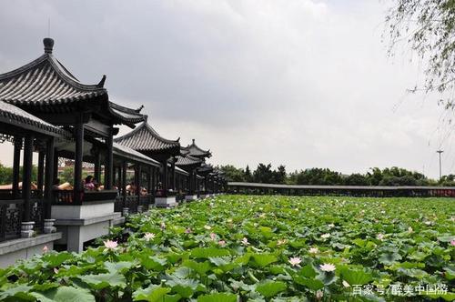 三水区夏季旅游活动推荐