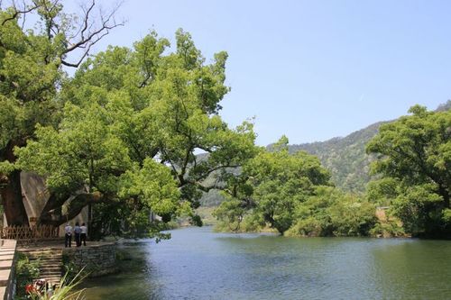 温泉度20551村门票预订