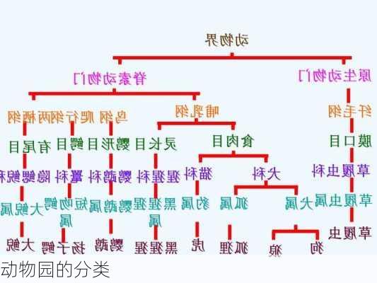 动物园的分类