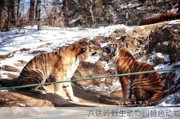 八达岭野生动物园特色动物