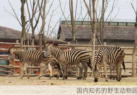 国内知名的野生动物园