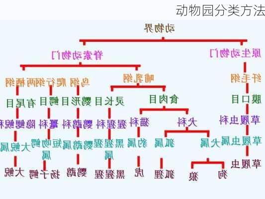 动物园分类方法