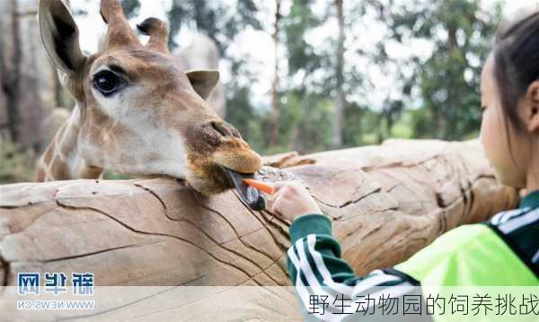 野生动物园的饲养挑战