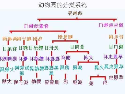 动物园的分类系统