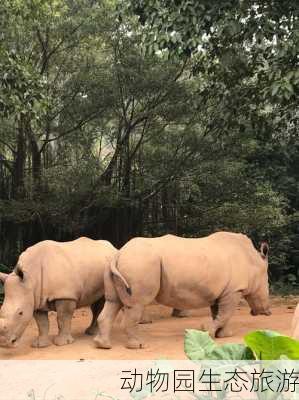 动物园生态旅游