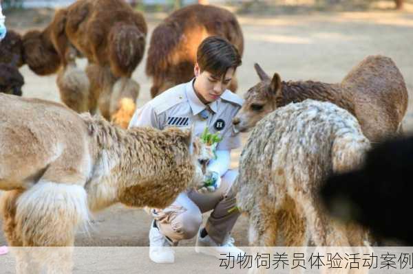 动物饲养员体验活动案例