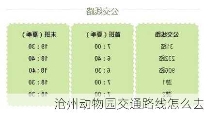 沧州动物园交通路线怎么去