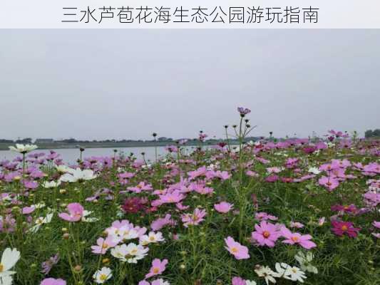 三水芦苞花海生态公园游玩指南