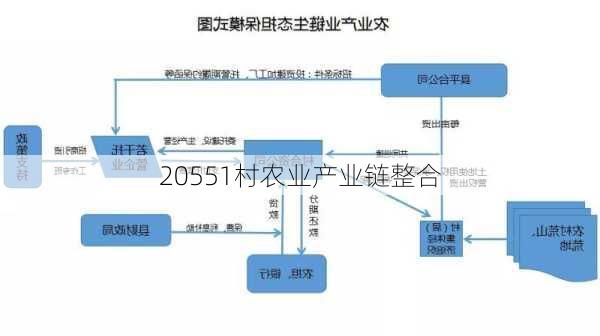 20551村农业产业链整合