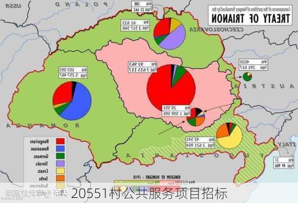 20551村公共服务项目招标