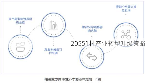 20551村产业转型升级策略