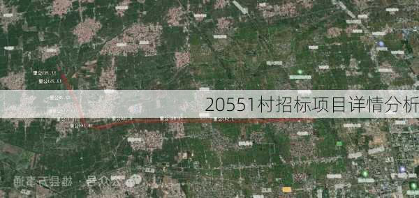 20551村招标项目详情分析