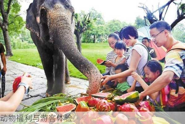 动物福利与游客体验