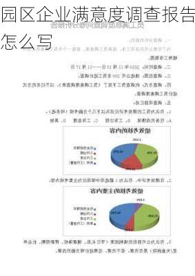 园区企业满意度调查报告怎么写