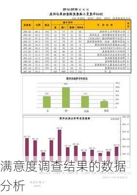 满意度调查结果的数据分析