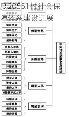 度20551村社会保障体系建设进展