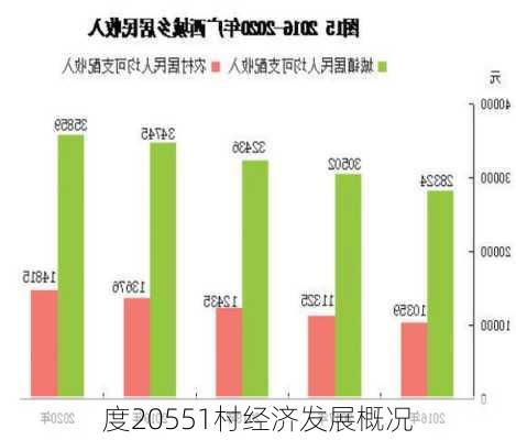 度20551村经济发展概况