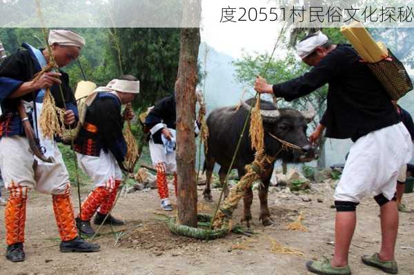 度20551村民俗文化探秘