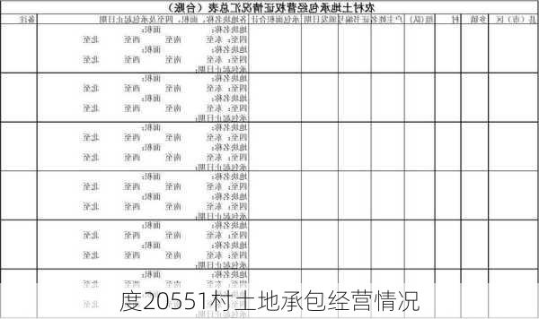 度20551村土地承包经营情况