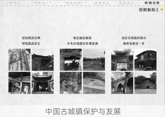 中国古城镇保护与发展