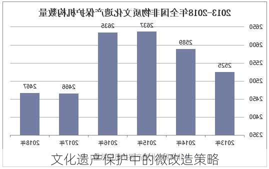 文化遗产保护中的微改造策略