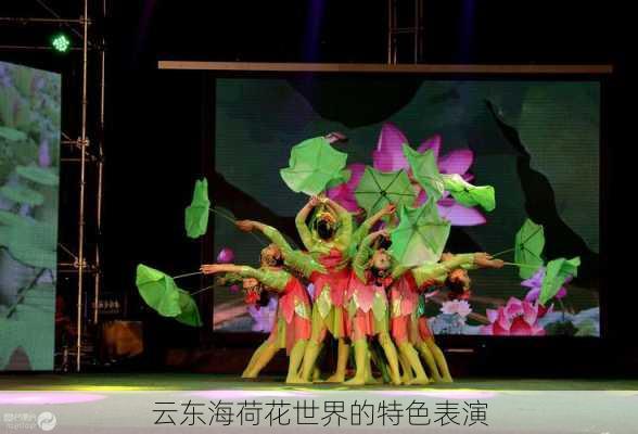 云东海荷花世界的特色表演