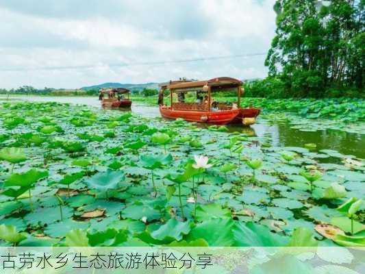 古劳水乡生态旅游体验分享