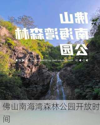 佛山南海湾森林公园开放时间