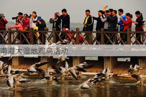 南海大湿地观鸟活动