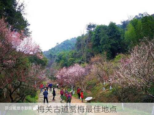 梅关古道赏梅最佳地点