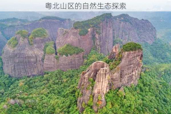 粤北山区的自然生态探索