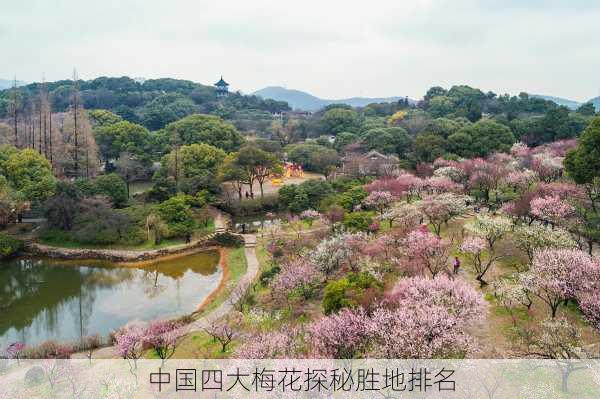 中国四大梅花探秘胜地排名