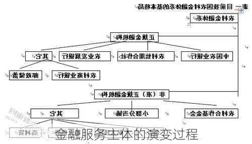 金融服务主体的演变过程