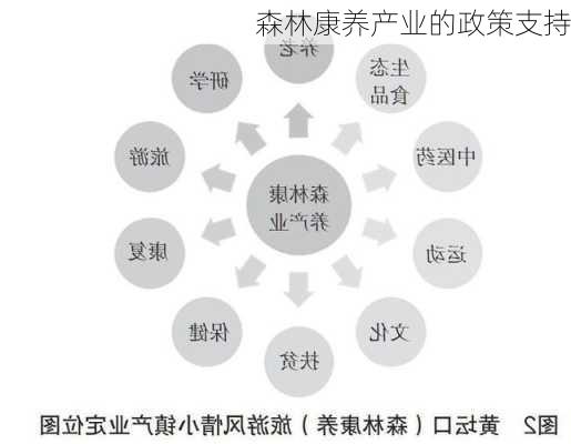 森林康养产业的政策支持