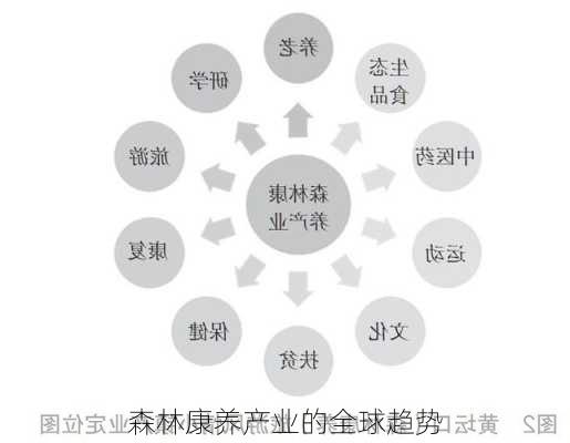 森林康养产业的全球趋势