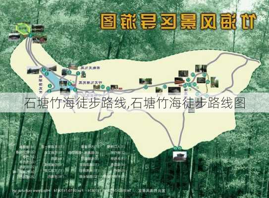 石塘竹海徒步路线,石塘竹海徒步路线图