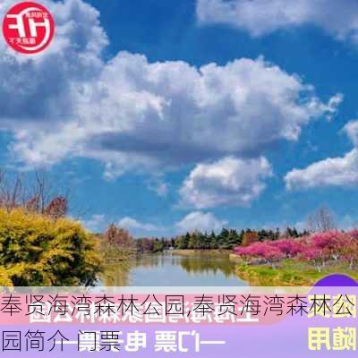 奉贤海湾森林公园,奉贤海湾森林公园简介 门票