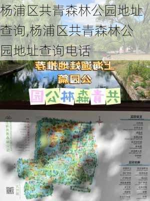 杨浦区共青森林公园地址查询,杨浦区共青森林公园地址查询电话