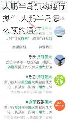 大鹏半岛预约通行操作,大鹏半岛怎么预约通行