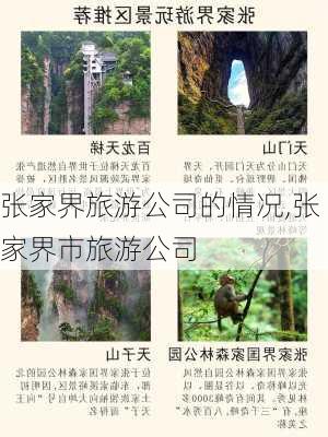 张家界旅游公司的情况,张家界市旅游公司