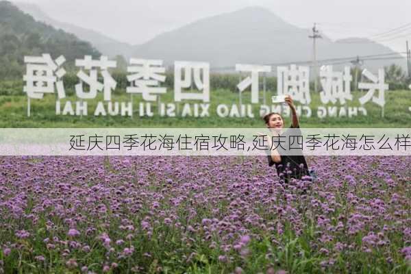 延庆四季花海住宿攻略,延庆四季花海怎么样