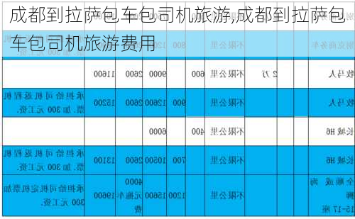 成都到拉萨包车包司机旅游,成都到拉萨包车包司机旅游费用