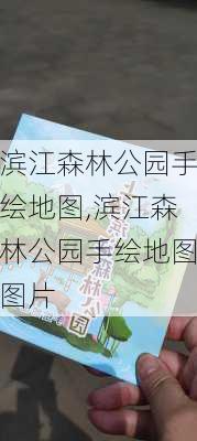 滨江森林公园手绘地图,滨江森林公园手绘地图图片