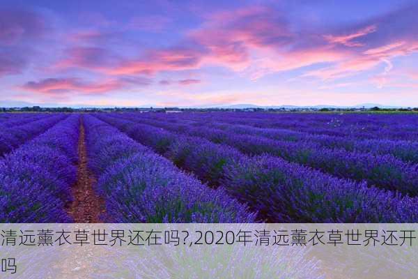 清远薰衣草世界还在吗?,2020年清远薰衣草世界还开吗