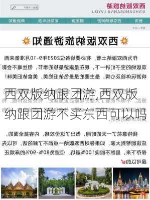 西双版纳跟团游,西双版纳跟团游不买东西可以吗