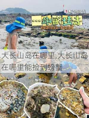 大长山岛在哪里,大长山岛在哪里能捡到螃蟹