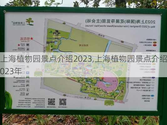 上海植物园景点介绍2023,上海植物园景点介绍2023年