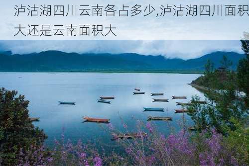 泸沽湖四川云南各占多少,泸沽湖四川面积大还是云南面积大