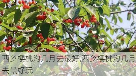 西乡樱桃沟几月去最好,西乡樱桃沟几月去最好玩